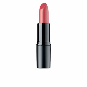 PERFECT MAT lipstick #173-skipper's Love